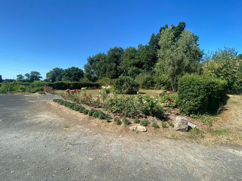 photo no. 14