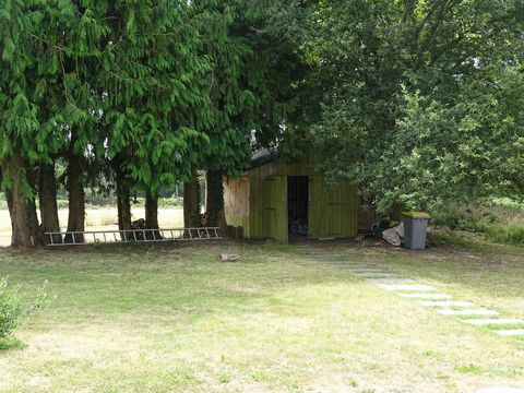 photo no. 3