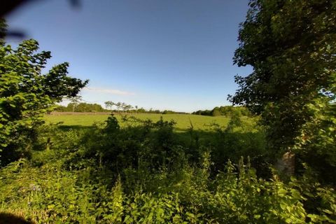 This authentic farmhouse is beautifully situated in the middle of the Frisian meadows. In the morning you wake up to chattering ducks and enjoy the rising sun over the meadows. You are at the feet of the forest area around Beetsterzwaag, but you are ...