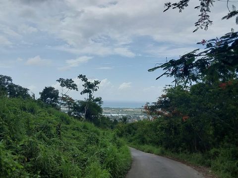 Bouw de oase op de heuvel van je dromen, te beginnen met deze woonkavel (1 van 6) van 11.948 vierkante meter in Ramble Hill, Bogue, Montego Bay. Omdat het 400-600 voet boven de zeespiegel ligt, is er een indrukwekkend uitzicht op Bogue Islands, Monte...