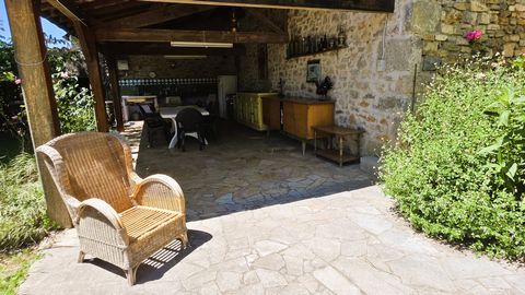 photo no. 12