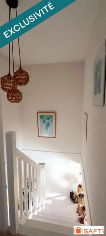 photo no. 15