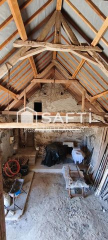 photo no. 9