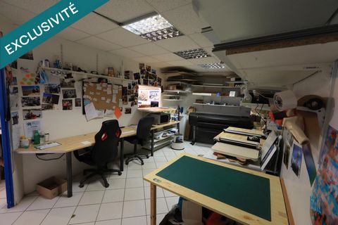 photo no. 9