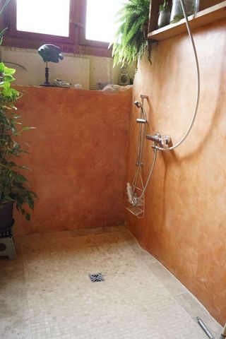 photo no. 12