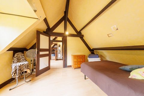 photo no. 5