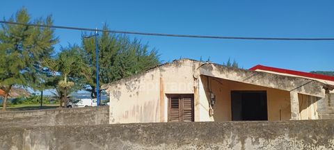 photo no. 2