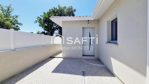 photo no. 14