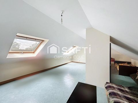 photo no. 15