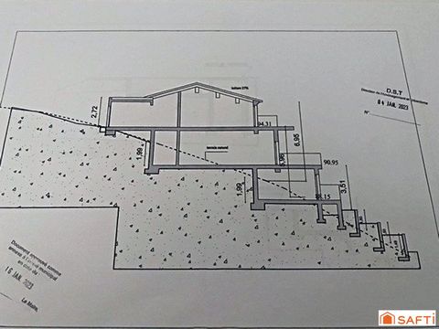photo no. 12