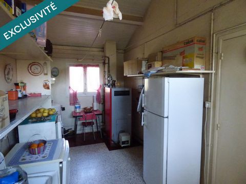 photo no. 11