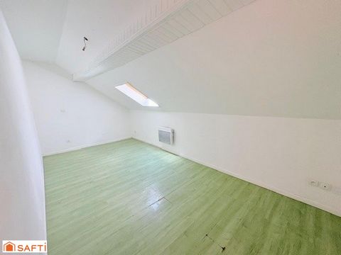 photo no. 8