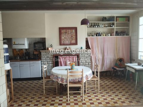 photo no. 7