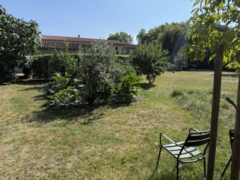 photo no. 23