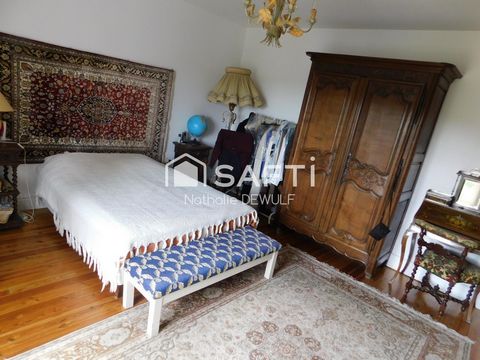 photo no. 12