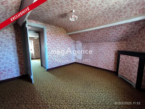 photo no. 4