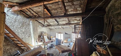 photo no. 19