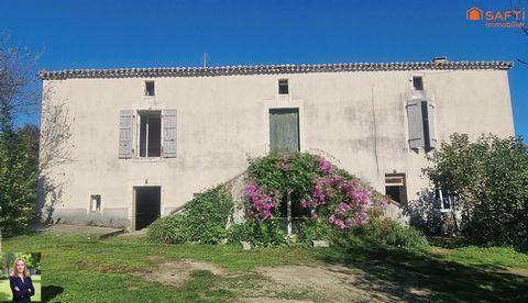 photo no. 13