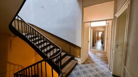 photo no. 16