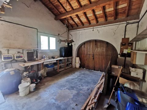 photo no. 16