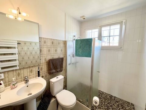 photo no. 12