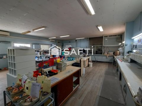 photo no. 9