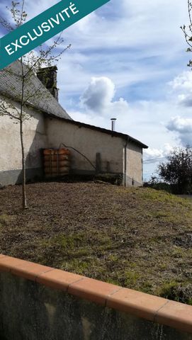 photo no. 9