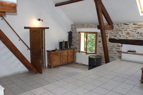 photo no. 11