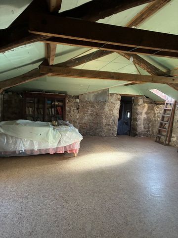 photo no. 13