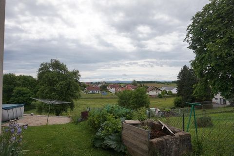 photo no. 6