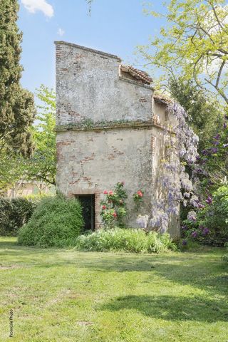 photo no. 16