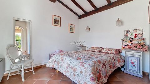 photo no. 14
