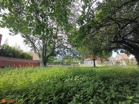 photo no. 3