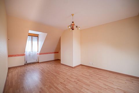 photo no. 12