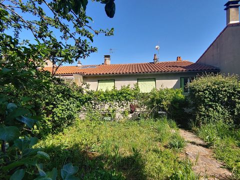 photo no. 2