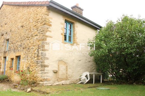 photo no. 9