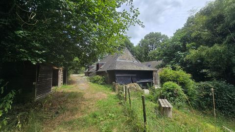 photo no. 2