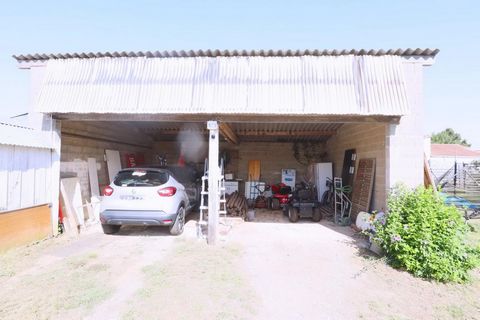 photo no. 14