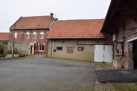 photo no. 11