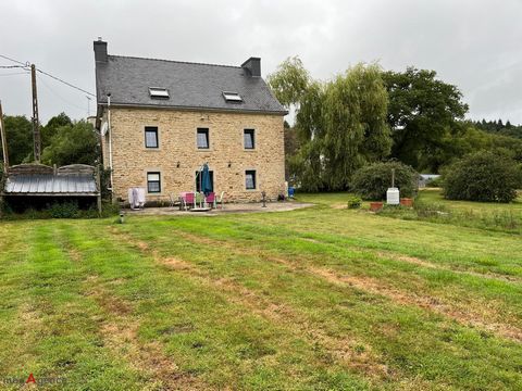 photo no. 18