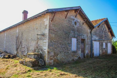 photo no. 14
