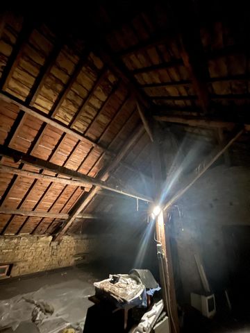 photo no. 10