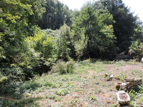 photo no. 13
