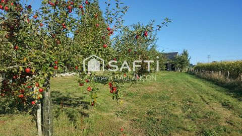 photo no. 15