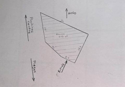 photo no. 3