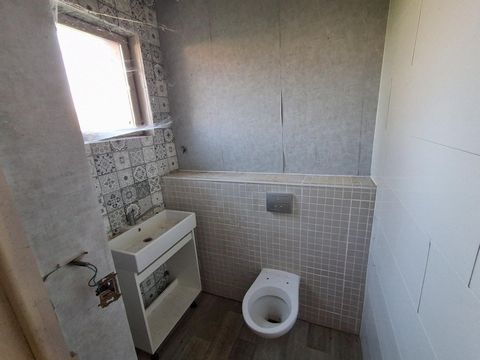 photo no. 7