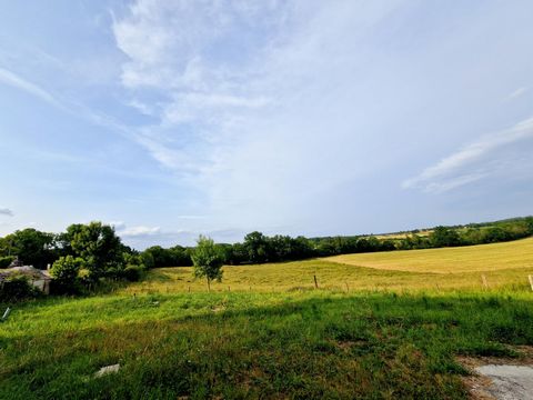 photo no. 7