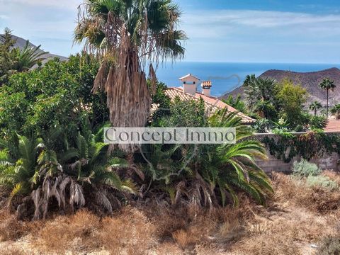 Nous proposons à la vente un grand terrain urbanisé pour la construction de : - 1 maison individuelle ou chalet - 2 maisons jumelées Ce beau terrain offre une vue imprenable sur Los Cristianos, Playa de Las Americas, l’océan Atlantique et l’île voisi...