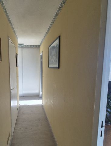 photo no. 23