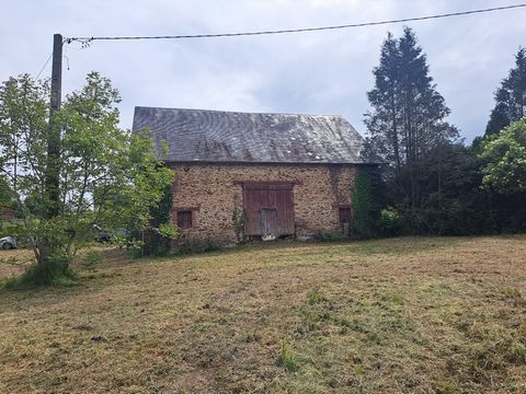 photo no. 8